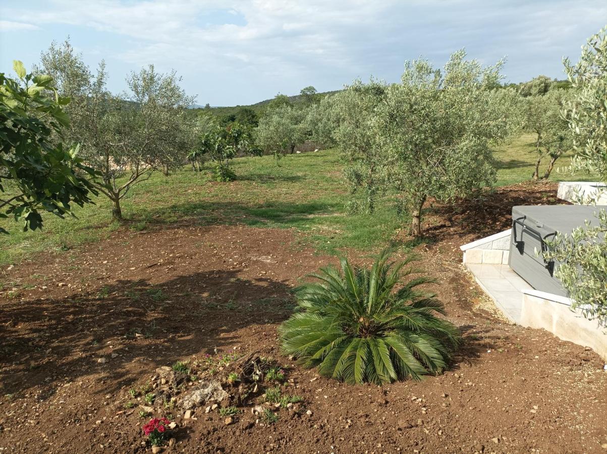 New 2023 Villa Tree Of Life Sveti Petar  Exteriér fotografie